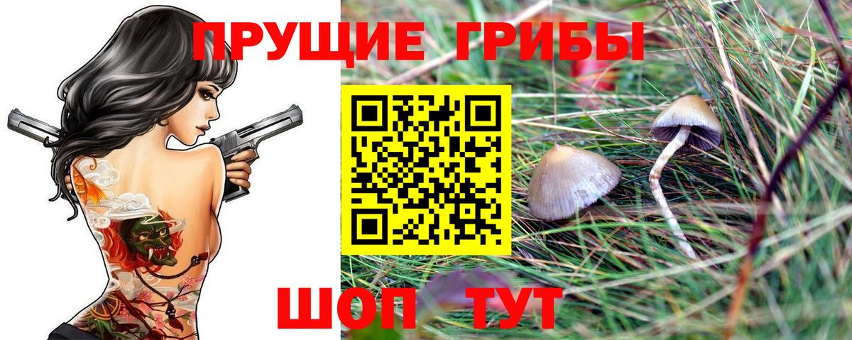 Усть-Джегута  Галлюциногенные грибы GOLDEN TEACHER  Вход с VPN  закладка  Псилоцибиновые грибы мицелий 