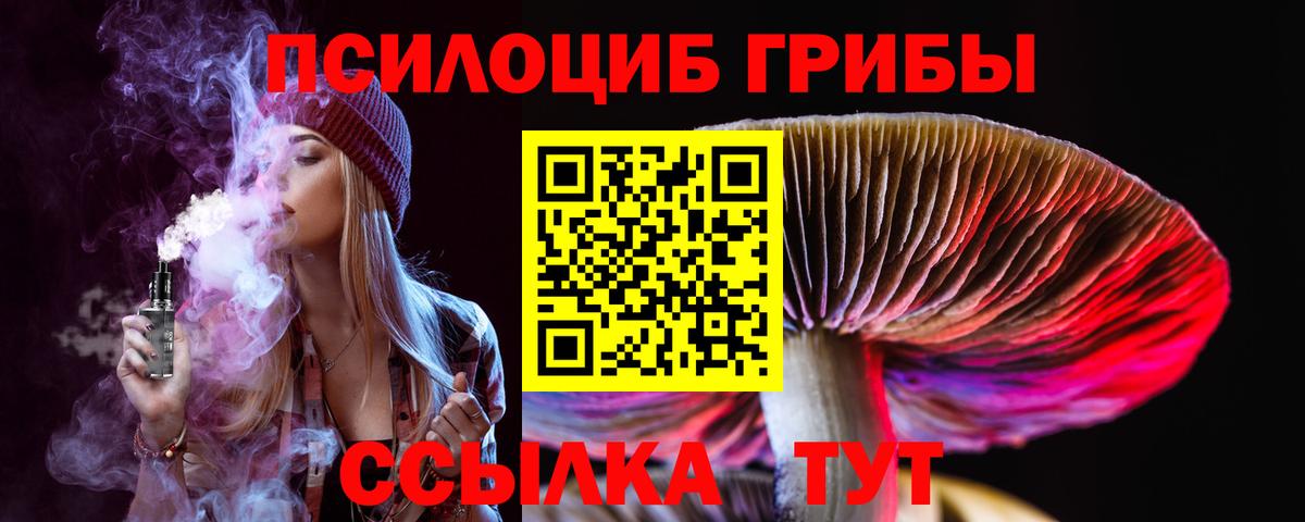 Псилоцибиновые грибы Cubensis Усть-Джегута